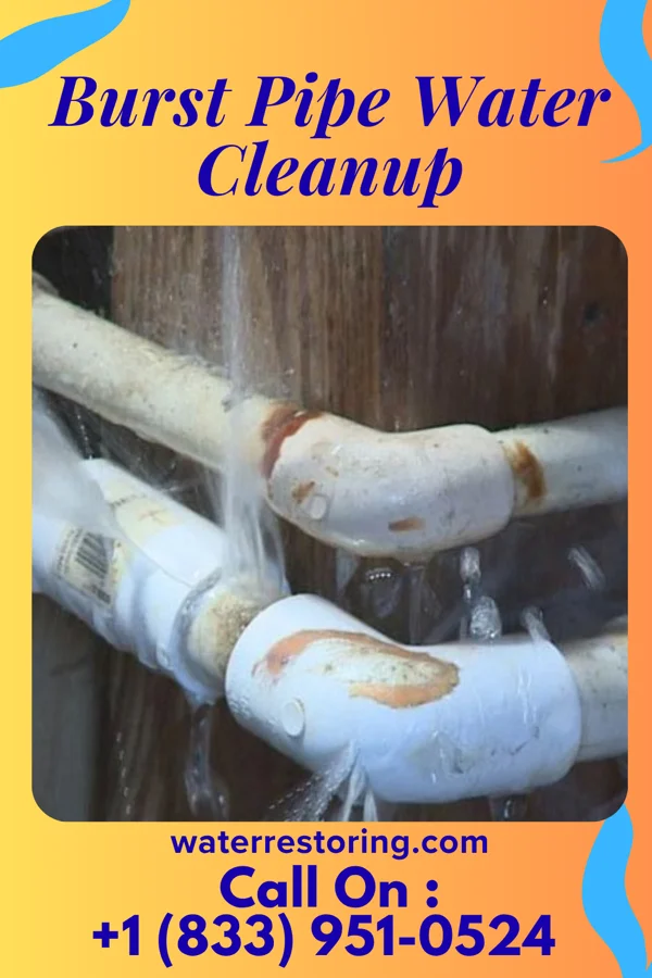 Burst Pipe Water Cleanup in Scottsburg, IN