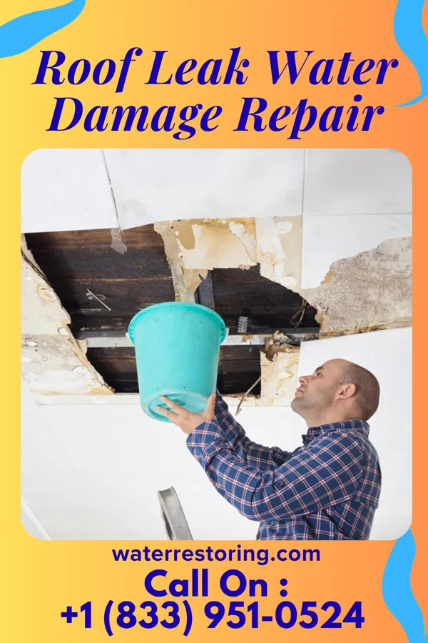 Roof Leak Water Damage Repair in Scottsburg, IN