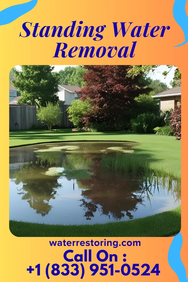 Standing Water Removal in Scottsburg, IN